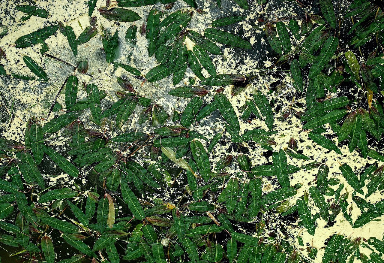 Jakie cechy musi mieć szambo?